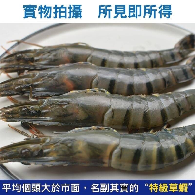 嚴選鮮凍大草蝦(每盒淨重250g±10%)【海陸管家】滿額免運-細節圖6