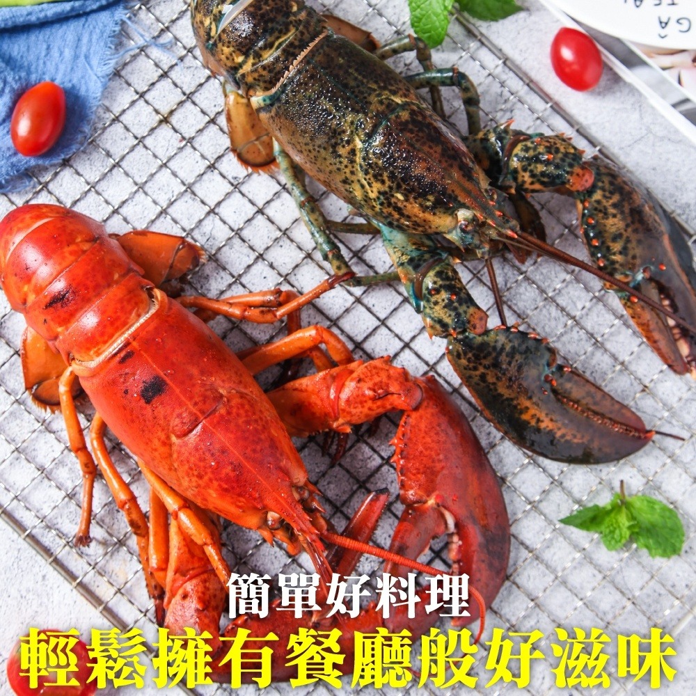 加拿大波士頓龍蝦2隻組(每隻約400-500g)【第二件贈鯖魚+牛排】全省免運-細節圖5