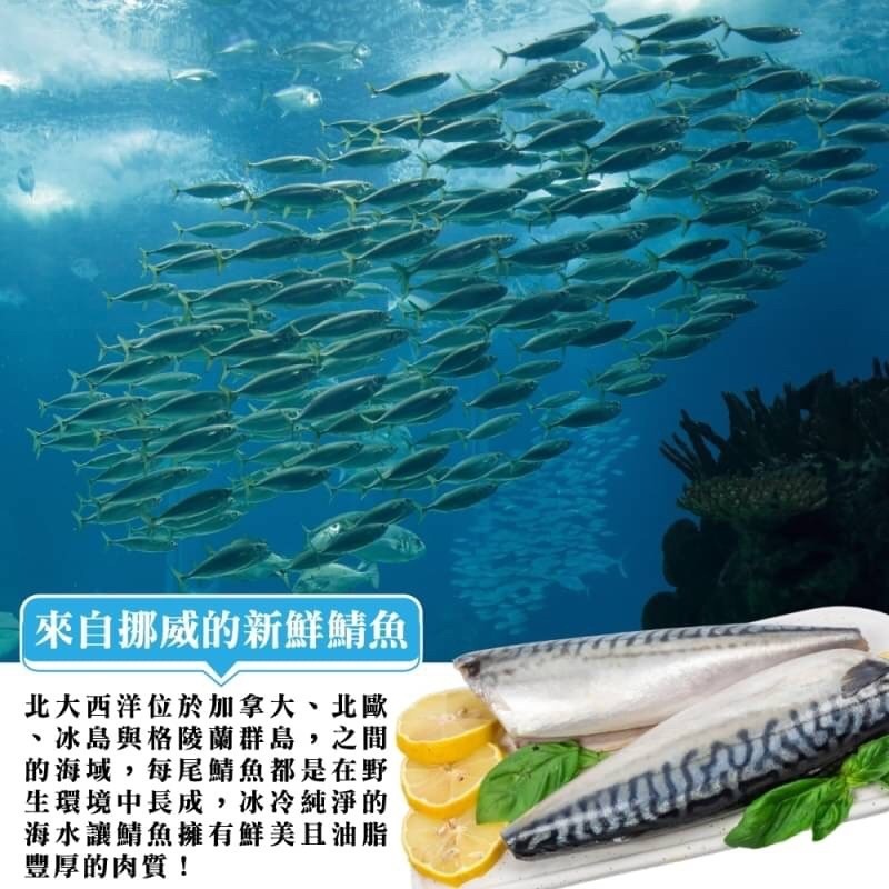 霸王級挪威薄鹽大鯖魚(每片180-200g/純重無紙板)【海陸管家】滿額免運-細節圖2