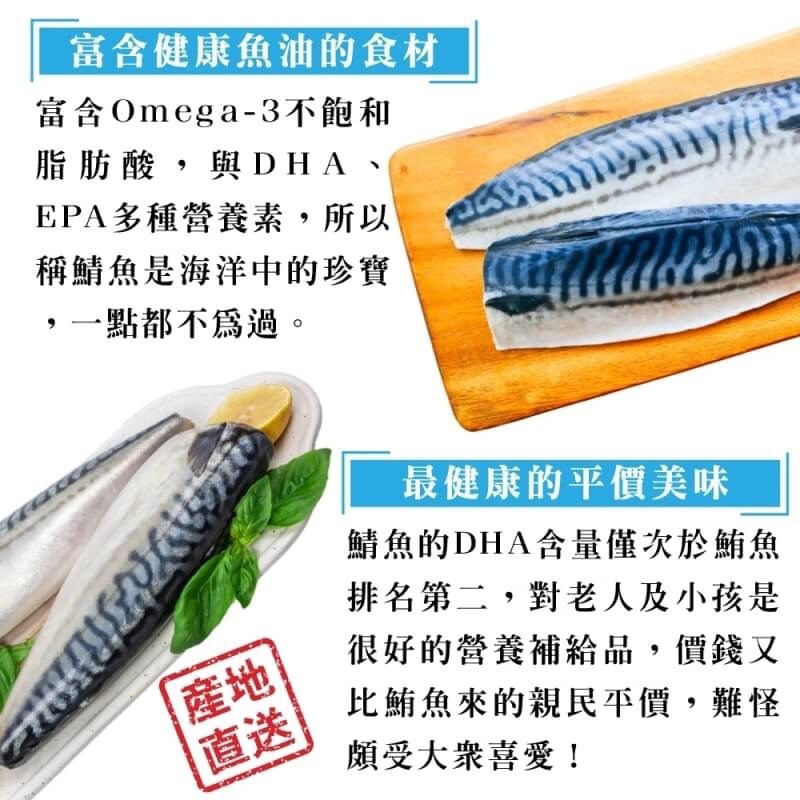 霸王級挪威薄鹽大鯖魚(每片180-200g/純重無紙板)【海陸管家】滿額免運-細節圖4