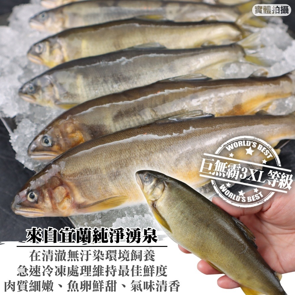 宜蘭嚴選爆卵母香魚(每盒8尾/1kg±10%)【海陸管家】滿額免運-細節圖2