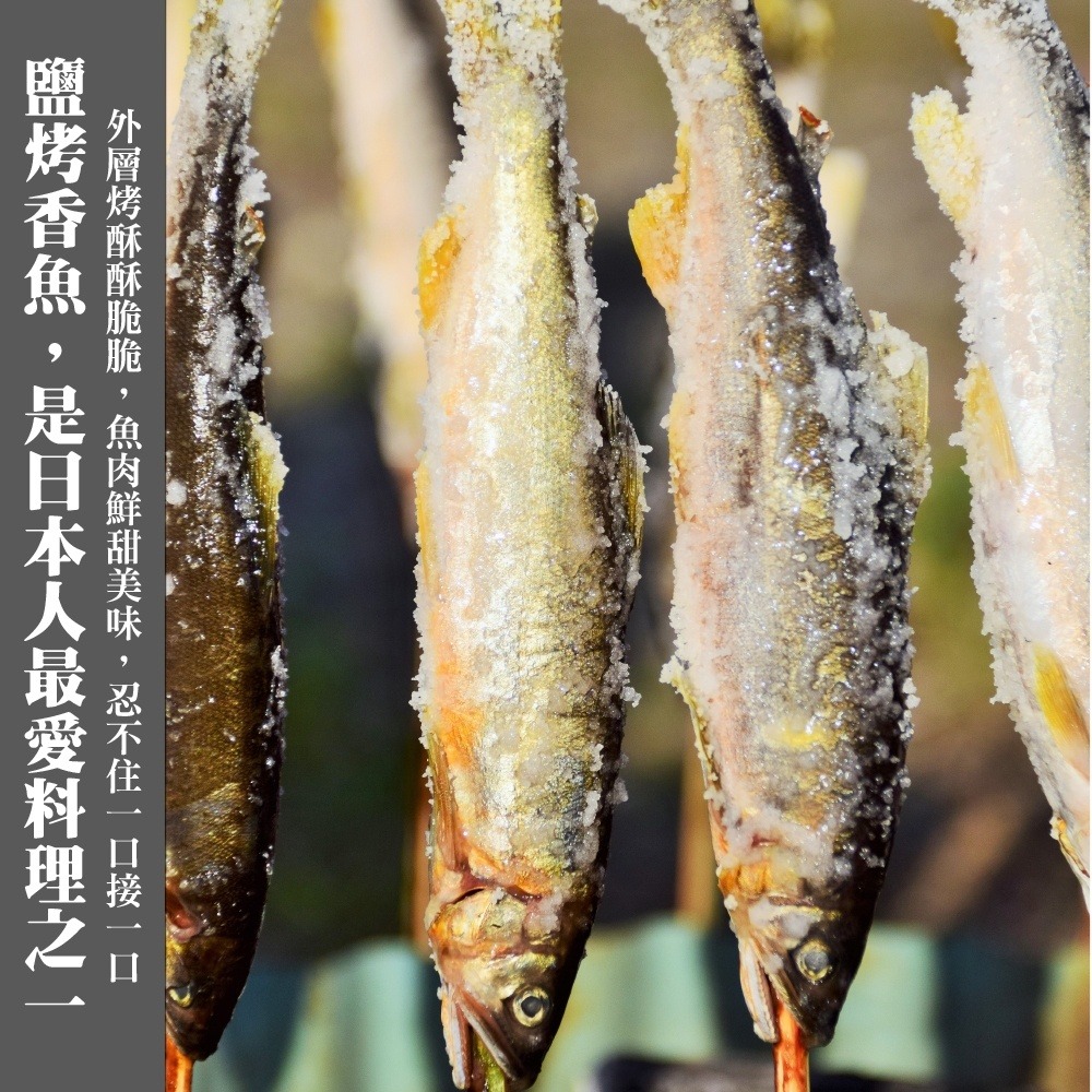 宜蘭嚴選爆卵母香魚(每盒8尾/1kg±10%)【海陸管家】滿額免運-細節圖5