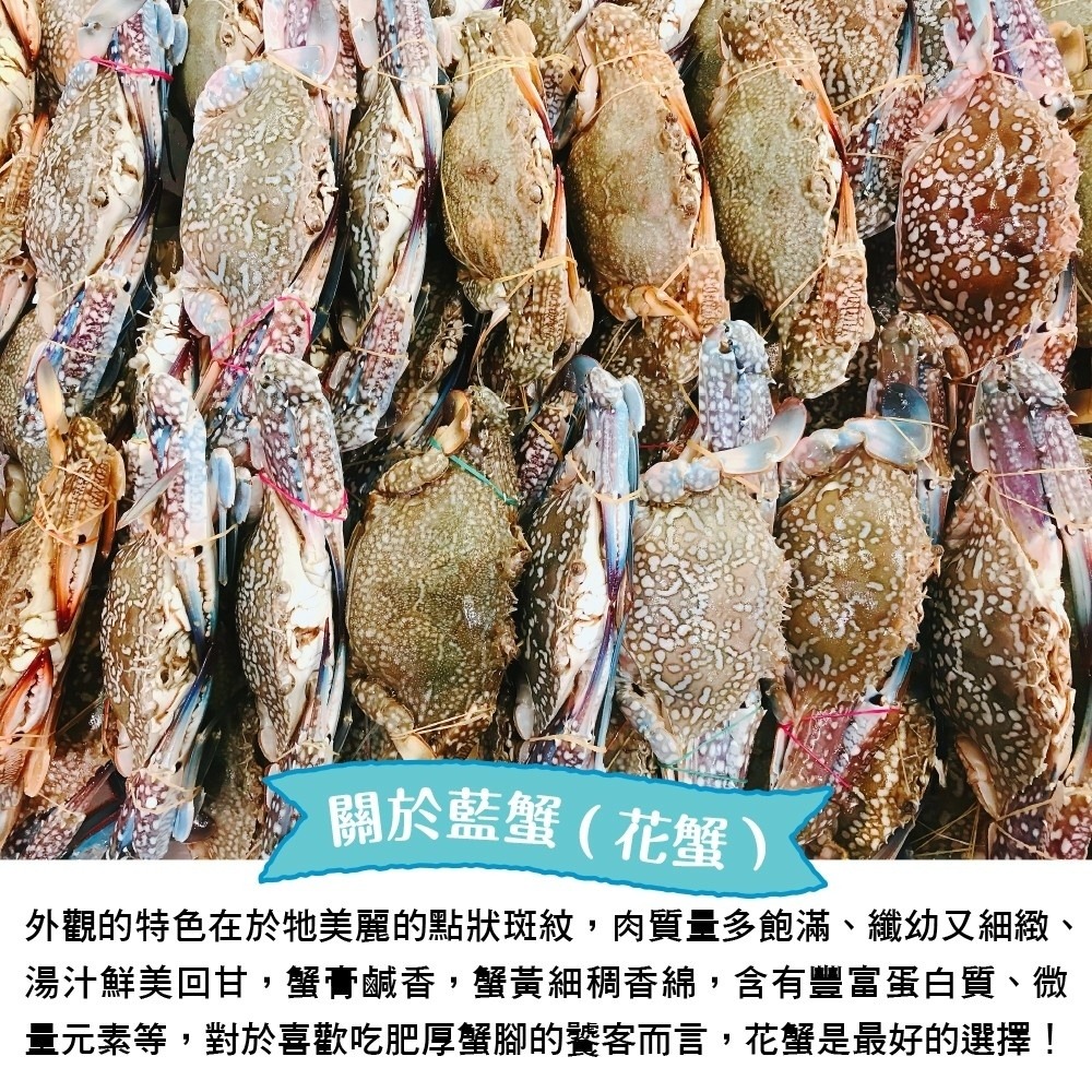 嚴選活凍藍蟹(每隻100g-150g)【海陸管家】滿額免運-細節圖2