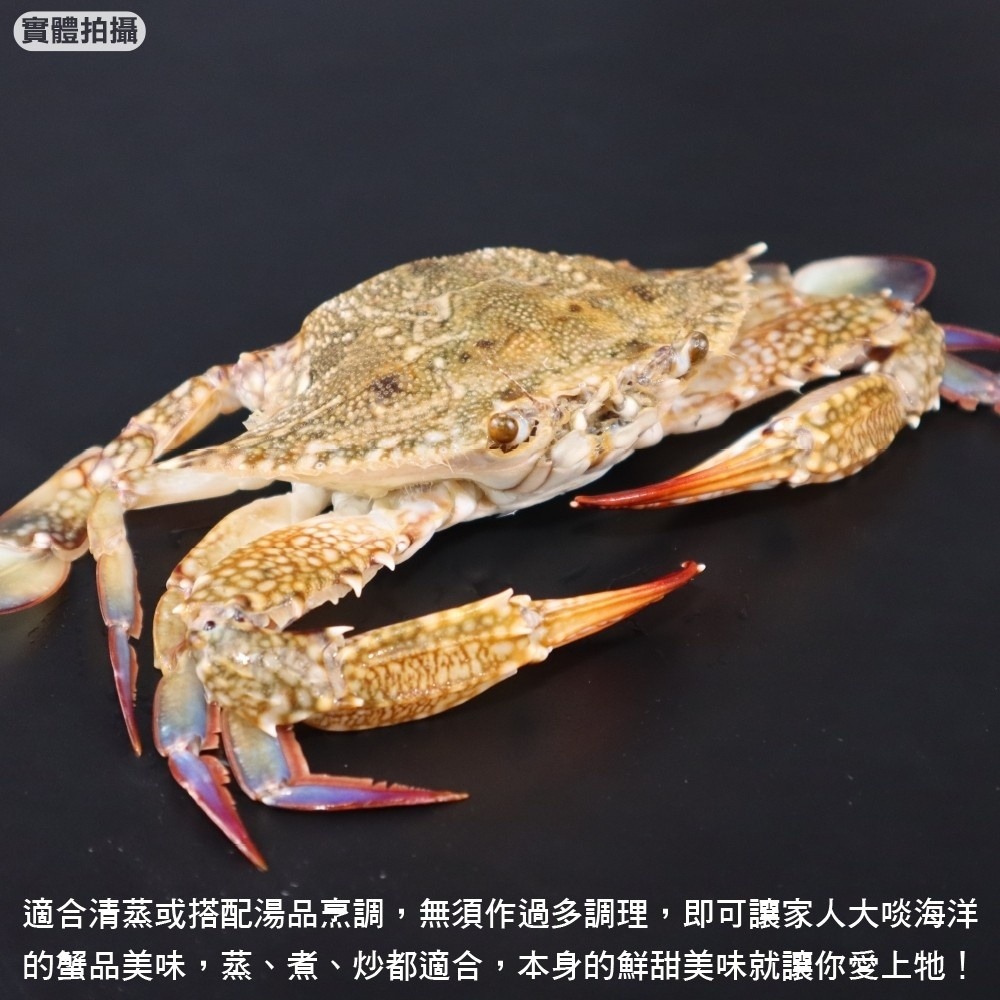 嚴選活凍藍蟹(每隻100g-150g)【海陸管家】滿額免運-細節圖3