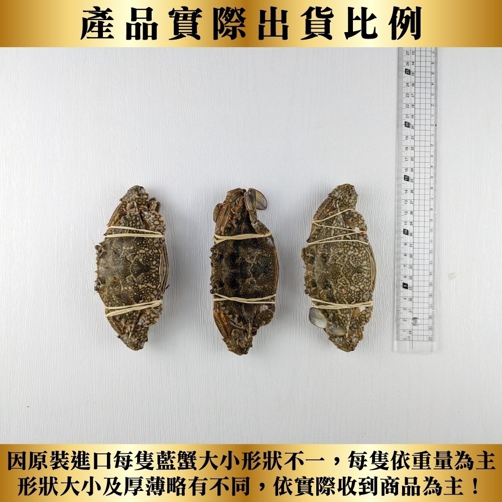 嚴選活凍藍蟹(每隻100g-150g)【海陸管家】滿額免運-細節圖8