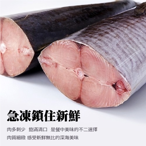 嚴選無肚洞土魠魚(每片100g±10%)【海陸管家】滿額免運-細節圖5