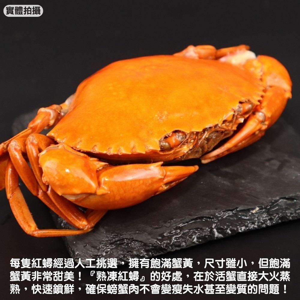 爆卵熟凍母紅蟳(每包2隻/240g±10%)【海陸管家】滿額免運 紅蟳 熟凍紅蟳 螃蟹 帶卵紅蟳-細節圖2