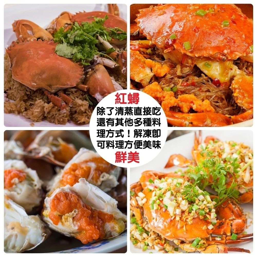 爆卵熟凍母紅蟳(每包2隻/240g±10%)【海陸管家】滿額免運 紅蟳 熟凍紅蟳 螃蟹 帶卵紅蟳-細節圖5