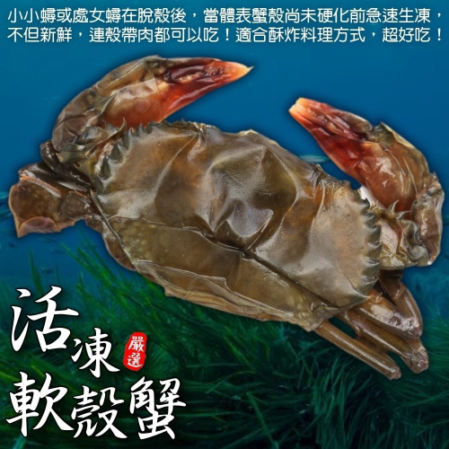 嚴選冷凍軟殼蟹(每盒8-10隻/600g±10%)【海陸管家】滿額免運