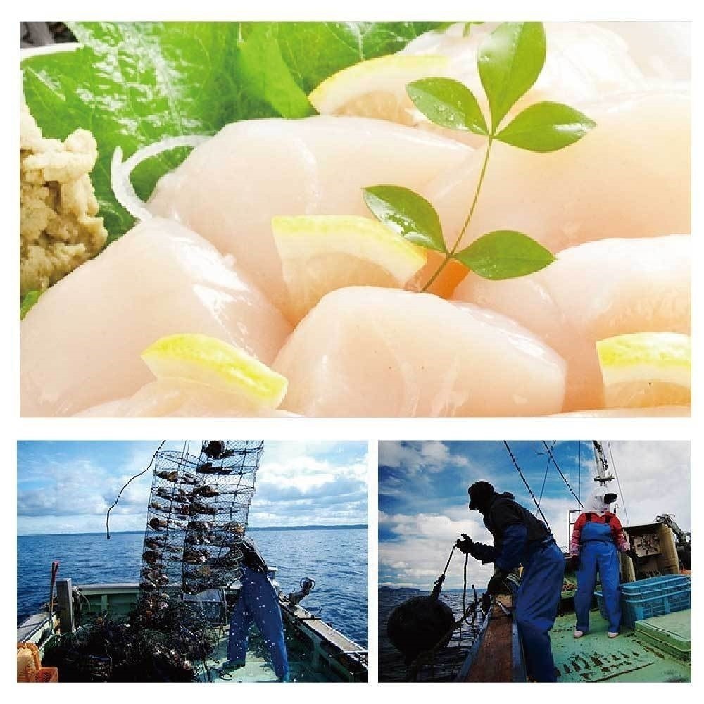 日本北海道生食級4S干貝(每包6顆/120g±10%)【海陸管家】滿額免運-細節圖2