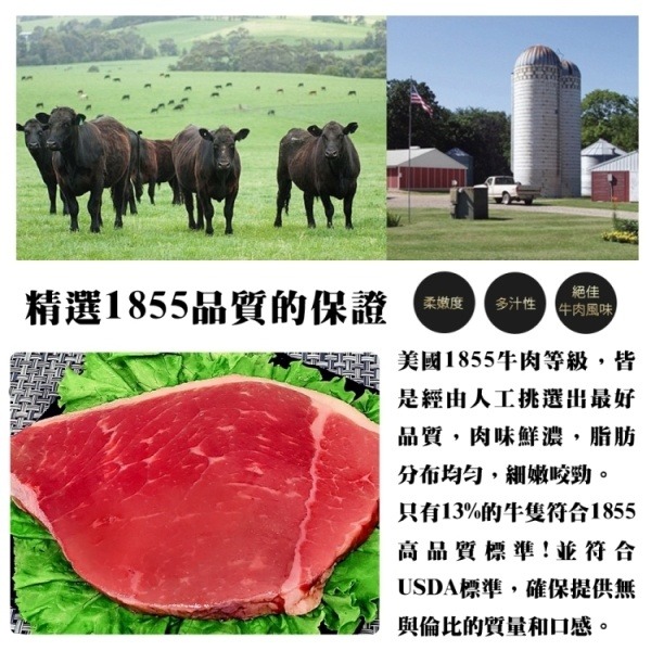 美國1855厚切霜降牛排(每片300g±10%)【海陸管家】滿額免運-細節圖2