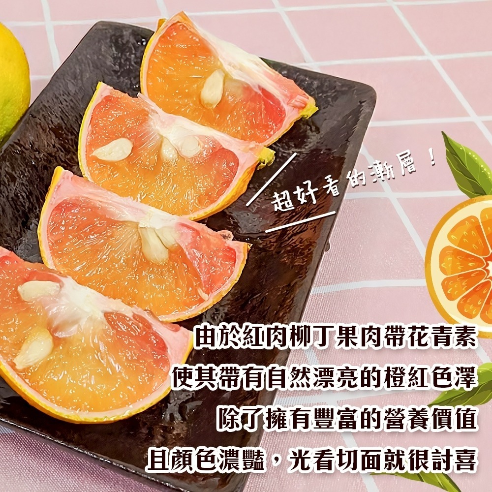 雲林古坑紅肉柳丁 0運費【果農直配】台灣柳丁 雲林柳丁 紅柳丁 柑橘 紅肉丁-細節圖2
