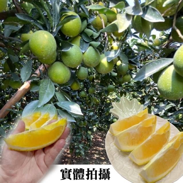 雲林古坑木瓜蜜丁 0運費【果之蔬】-細節圖7