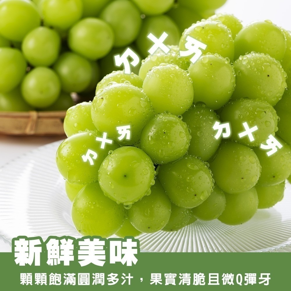 日本空運麝香葡萄特大房禮盒(每串670-750g) 0運費【果之蔬】日本葡萄 無籽葡萄 綠葡萄 日本綠葡萄 日本水果-細節圖4