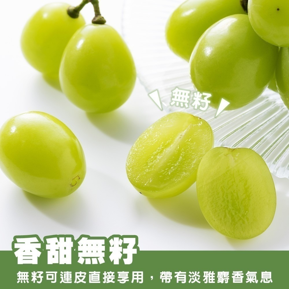 日本空運麝香葡萄特大房禮盒(每串670-750g) 0運費【果之蔬】日本葡萄 無籽葡萄 綠葡萄 日本綠葡萄 日本水果-細節圖7