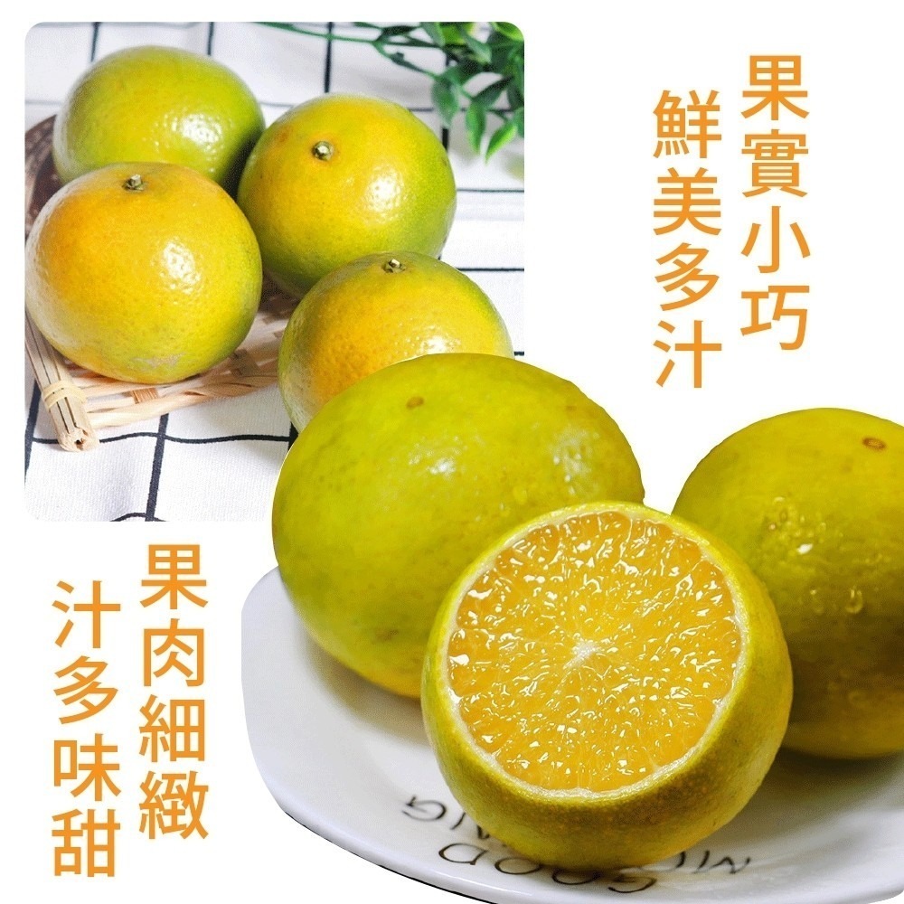 雲林帝王柑 0運費【果農直送】-細節圖5