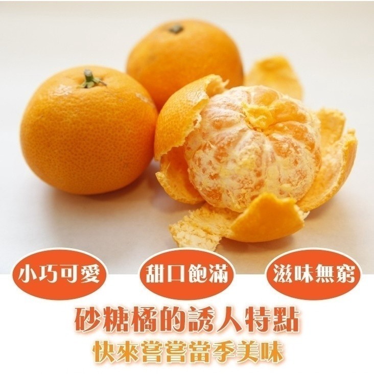 台灣迷你砂糖橘 0運費【果農直配】珍珠橘 迷你橘子 台灣橘子 小柑橘-細節圖6
