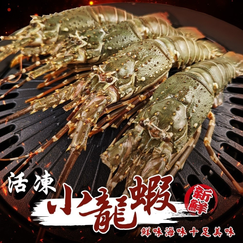 活凍小龍蝦(每尾100-150g)【海陸管家】滿額免運