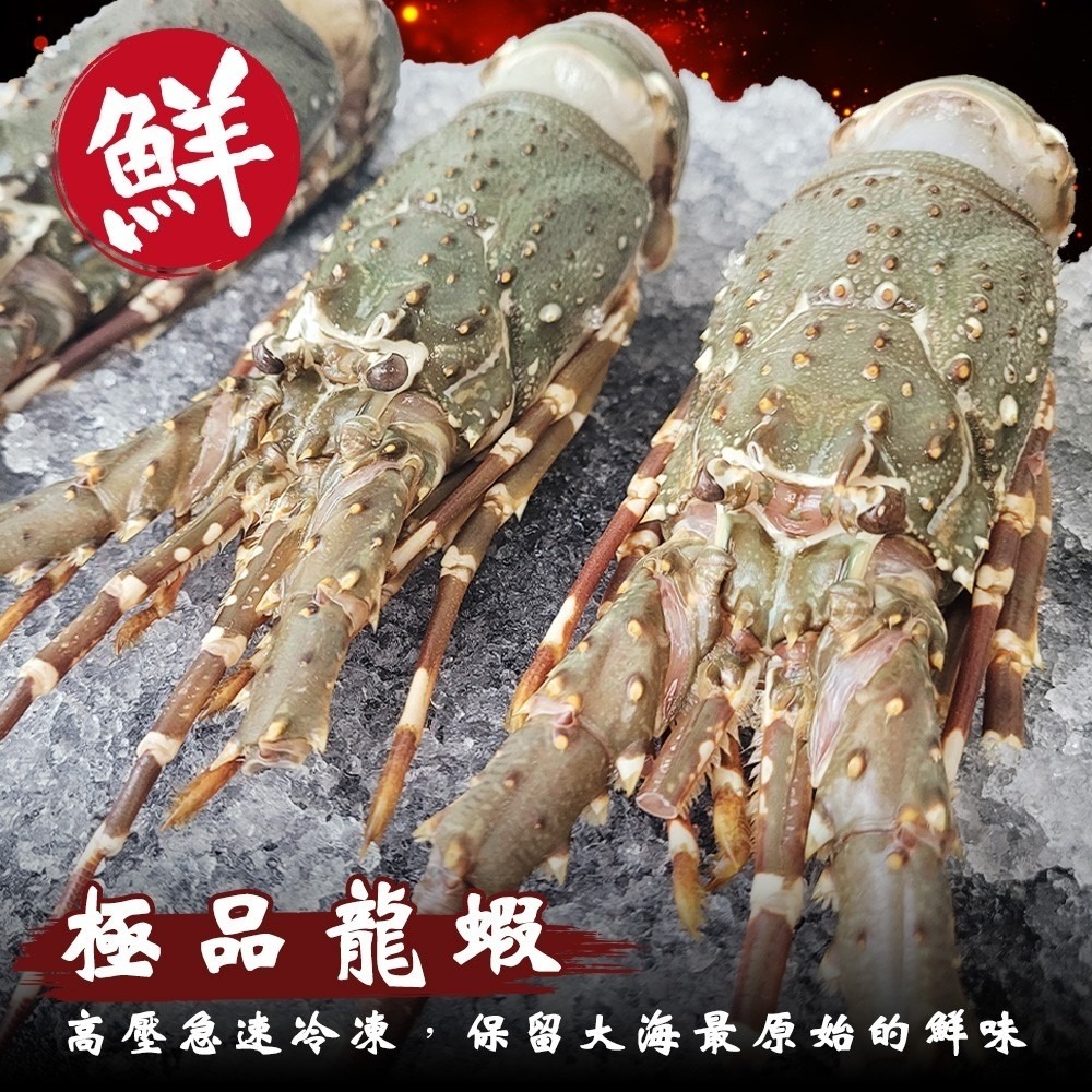 活凍小龍蝦(每尾100-150g)【海陸管家】滿額免運-細節圖2