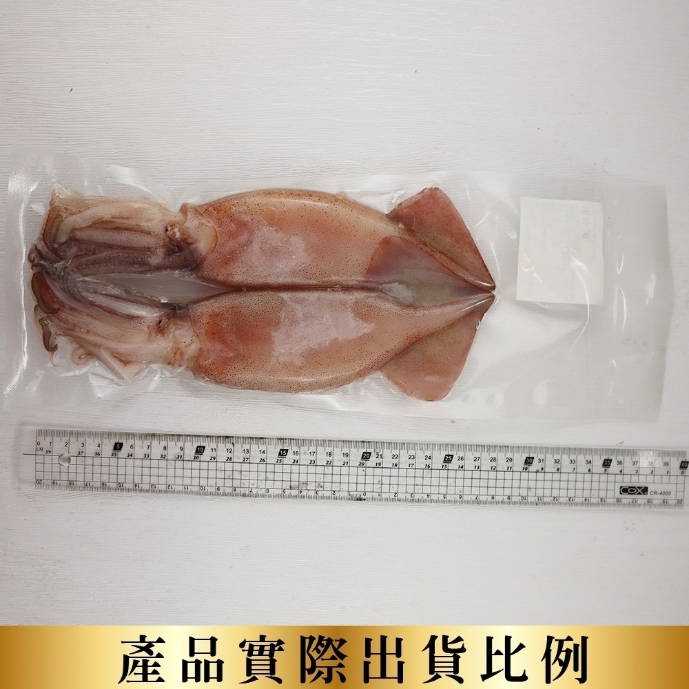 嚴選阿根廷野生鮮凍魷魚(每尾130-170g)【海陸管家】滿額免運-細節圖6