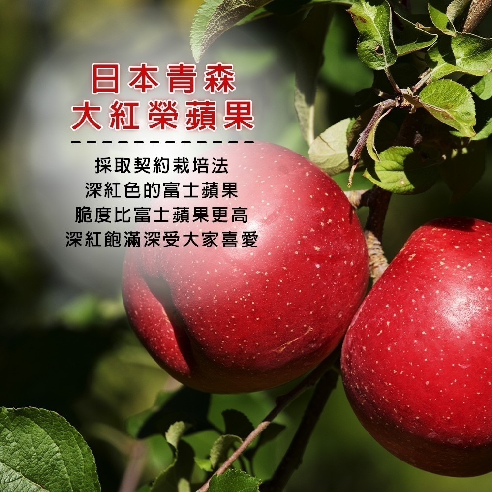 日本青森大紅榮蘋果6入手提禮盒 0運費【果之蔬】日本蘋果 青森蘋果 日本大紅榮 蘋果禮盒 進口蘋果-細節圖2