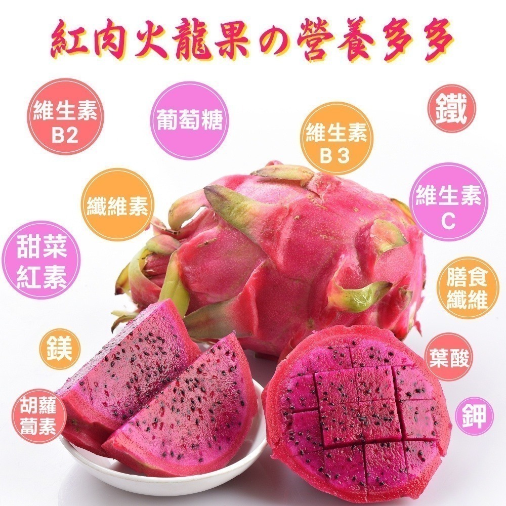 台灣紅肉火龍果 0運費【果農直配】-細節圖6