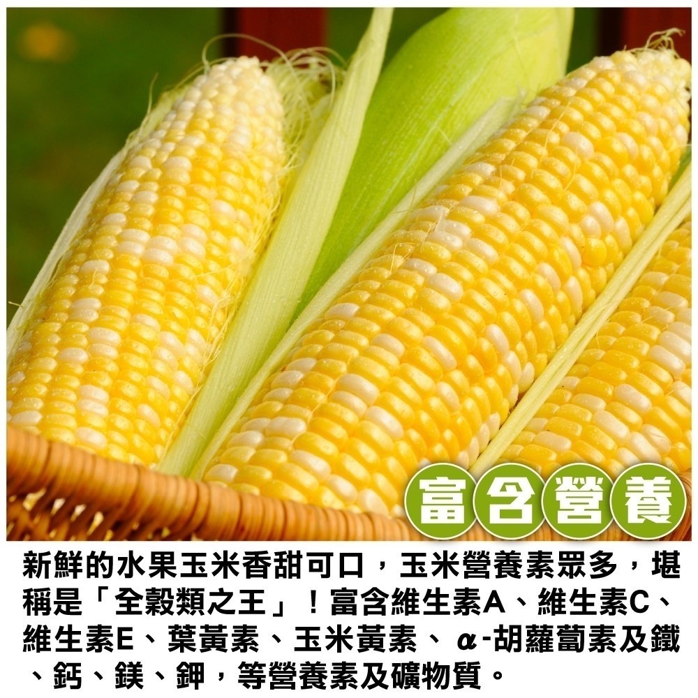 台灣雙色水果玉米 0運費【果農直配】台灣玉米 甜玉米 雙色玉米 黃玉米 白玉米 水果玉米 生玉米 帶葉玉米-細節圖7