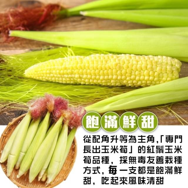 台灣紅鬚帶殼玉米筍【果農直配】全省免運-細節圖4