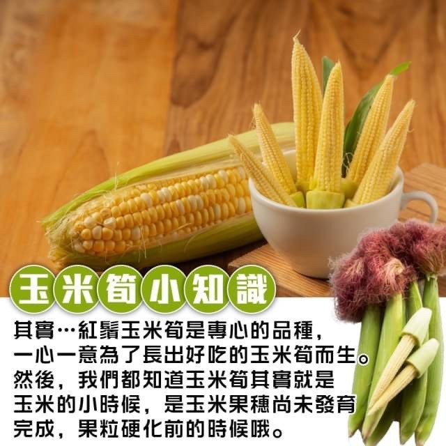 台灣紅鬚帶殼玉米筍【果農直配】全省免運-細節圖5