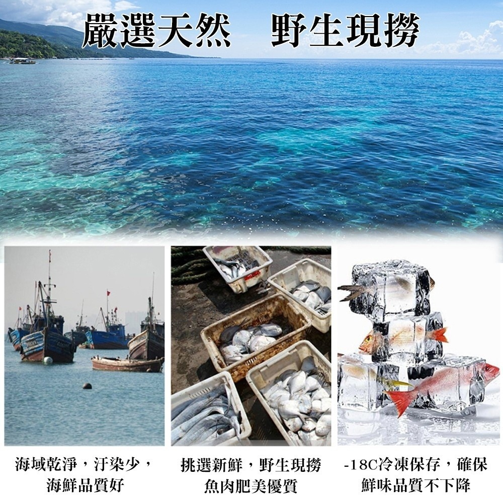 鮮嫩野生白鯧魚2尾組(每尾220g-280g)【海陸管家】滿額免運-細節圖2