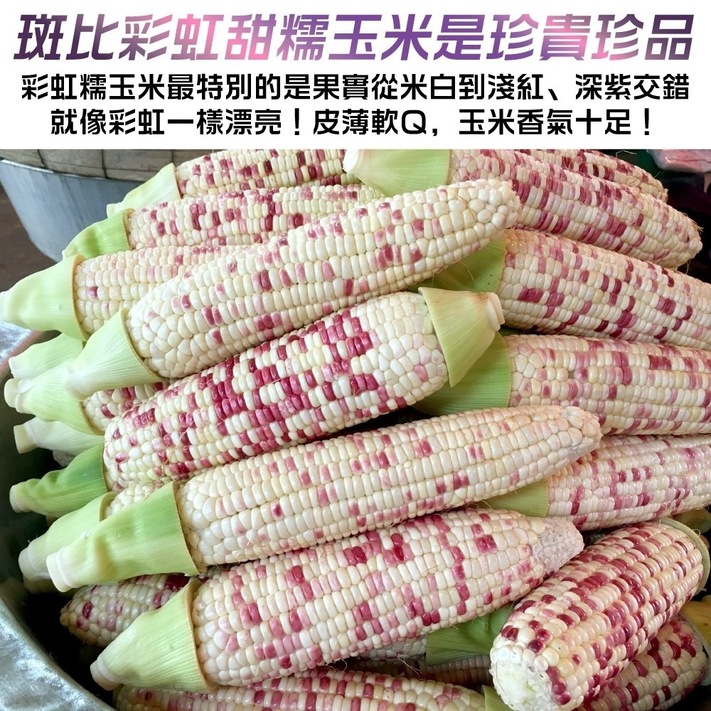 斑比彩虹甜糯玉米【果農直配】全省免運-細節圖6