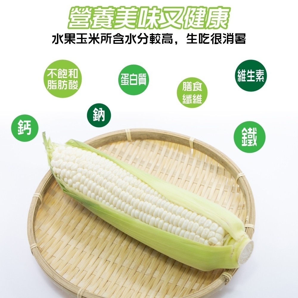 日本品種-台灣水果玉米 0運費【果農直配】-細節圖5