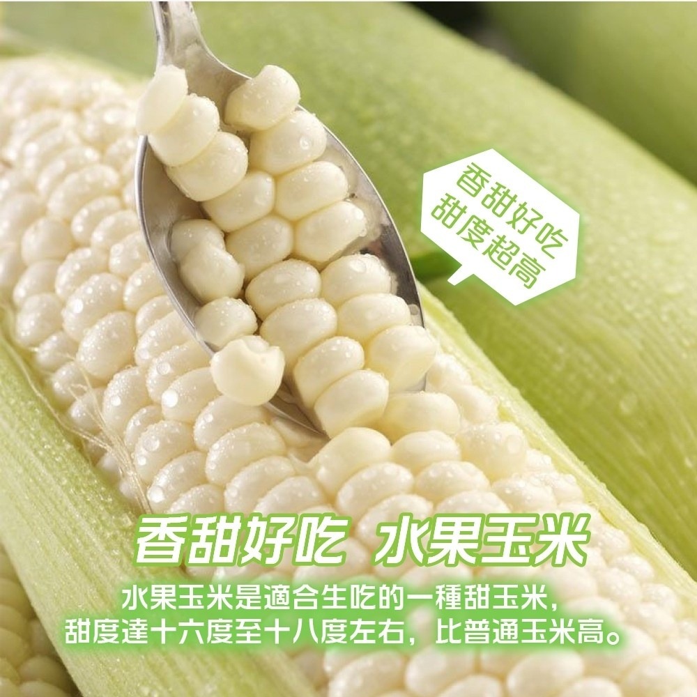 日本品種-台灣水果玉米【果農直配】全省免運-細節圖4