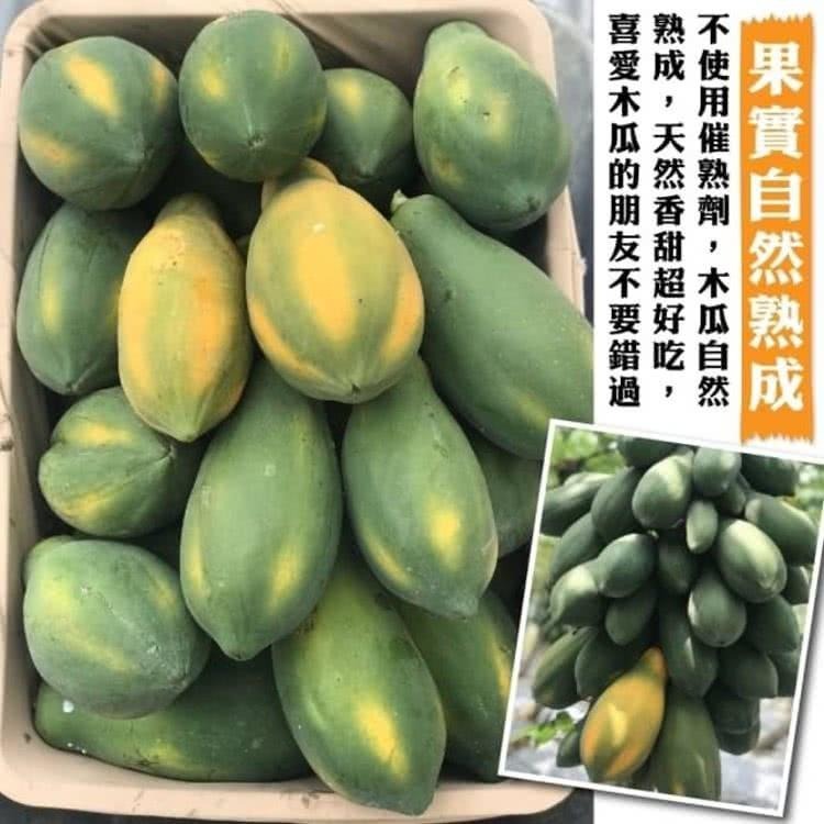 台農2號木瓜 0運費【果農直配】台灣木瓜 台灣水果 台灣小農木瓜 木瓜牛奶-細節圖2