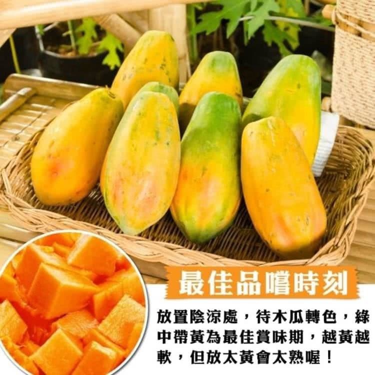 台農2號木瓜 0運費【果農直配】台灣木瓜 台灣水果 台灣小農木瓜 木瓜牛奶-細節圖4