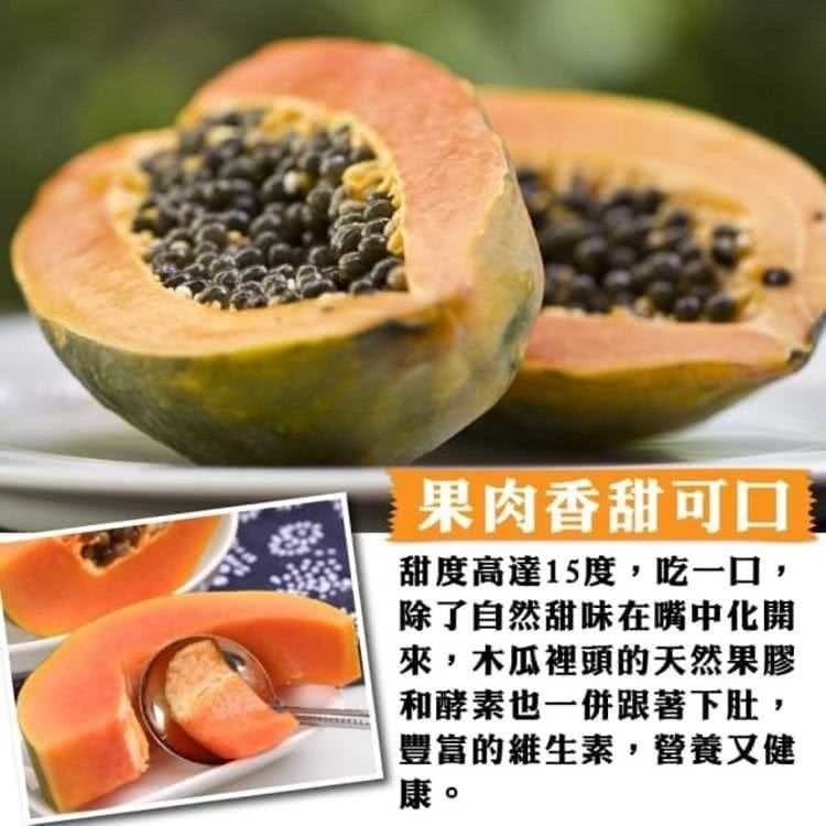 台農2號木瓜 0運費【果農直配】台灣木瓜 台灣水果 台灣小農木瓜 木瓜牛奶-細節圖5