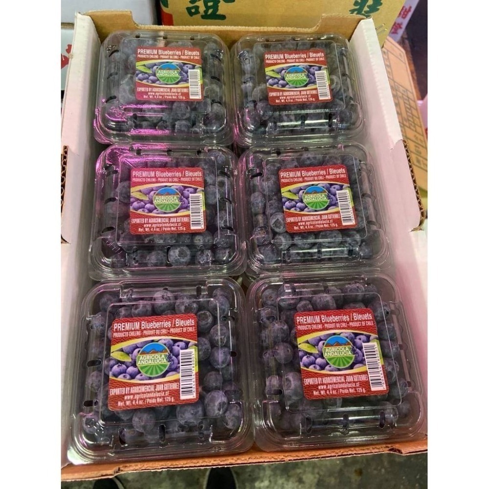 秘魯/智利/紐西蘭進口藍莓(每盒125g±10%) 0運費【果之蔬】-細節圖9