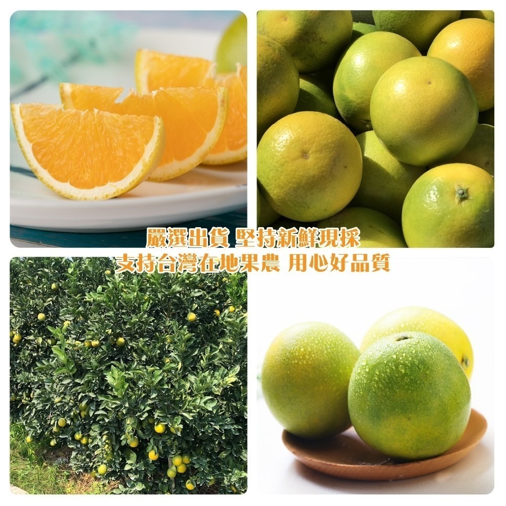 雲林老欉柳丁 0運費【果農直送】台灣柳丁 雲林柳丁 柑橘 老欉丁-細節圖6