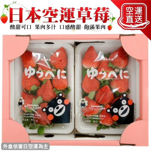 日本熊本/福岡/佐賀空運草莓(每P約7-12顆/300±10%) 0運費【果之蔬】日本草莓 草莓禮盒 年節禮盒 水果禮盒