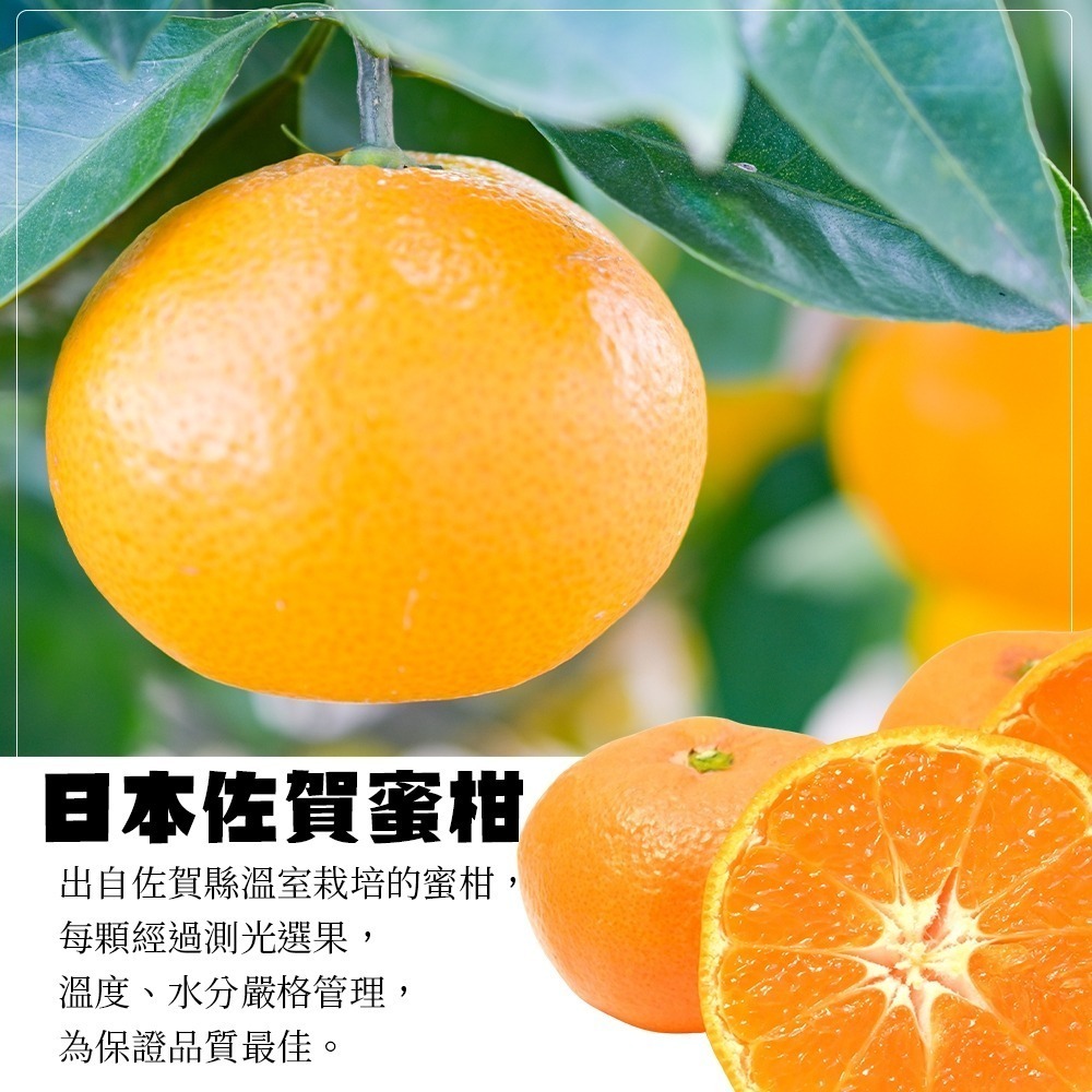 日本佐賀縣溫室蜜柑(每盒350g±10%/4-6顆) 0運費【果之蔬】日本蜜柑 小蜜柑 佐賀蜜柑 柑橘-細節圖3