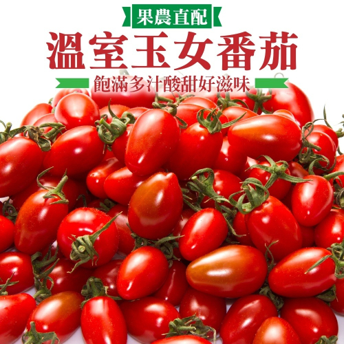 嚴選溫室玉女小蕃茄(每盒600g±10%) 0運費【果農直配】小番茄 小蕃茄 玉女