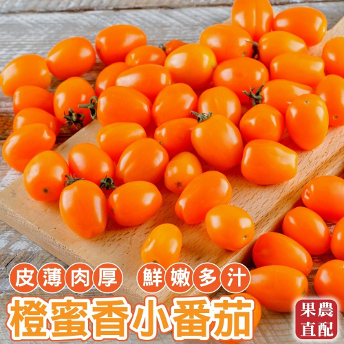 橙蜜香小蕃茄5斤±10%含箱 0運費【果農直配】小番茄 小番茄 澄蜜香番茄 澄蜜香蕃茄