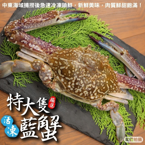 活凍特大隻藍花蟹(每隻400-450g)【海陸管家】滿額免運 螃蟹 蟹肉 蟹腳