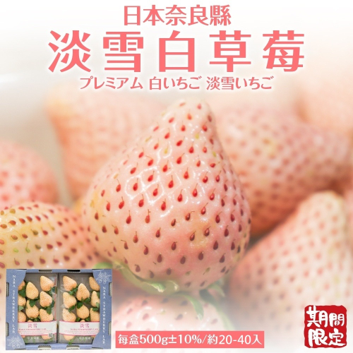 日本空運淡雪草莓2P原裝盒500g±10%(約14-30入) 0運費【果之蔬】日本草莓 進口草莓 日本白草莓