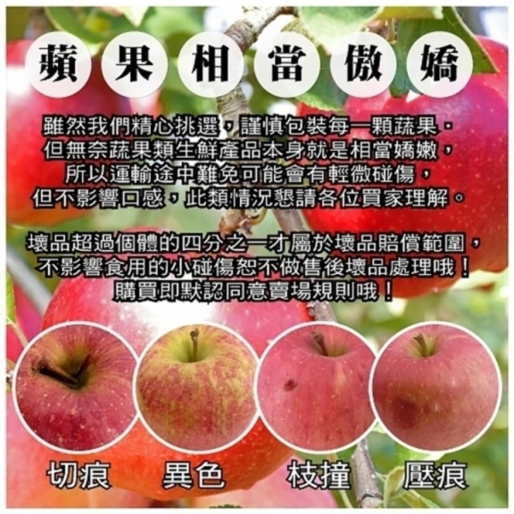 日本山形縣紅蜜蘋果【果之蔬】日本蘋果 紅蜜蘋果 蘋果禮盒 年節禮盒 蜜蘋果 山形蘋果-細節圖6