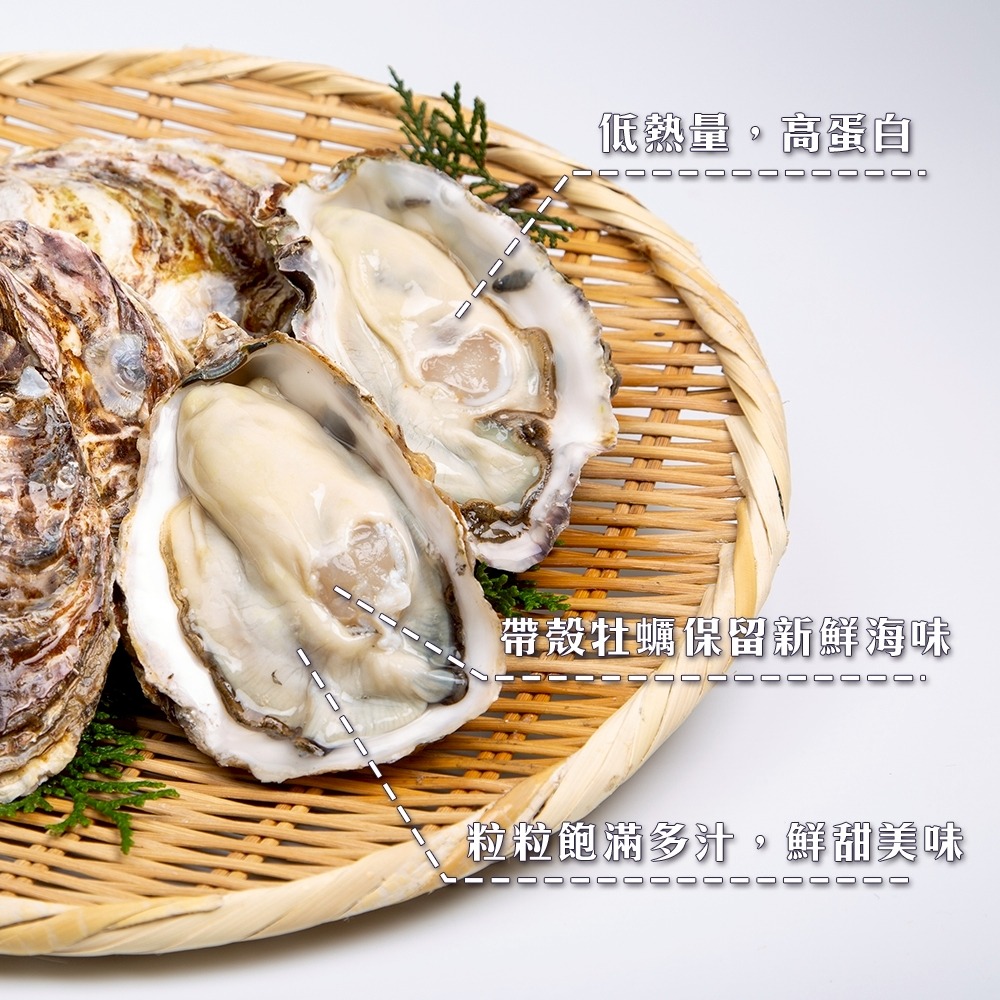 日本宮城縣帶殼牡蠣10kg±10%/約80-110顆【海陸管家】日本牡蠣 帶殼牡蠣 海鮮-細節圖2