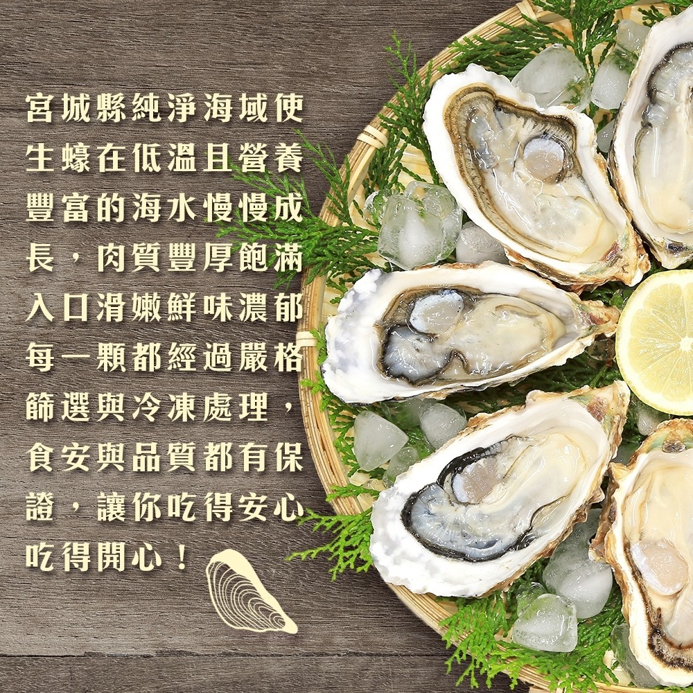 日本宮城縣帶殼牡蠣10kg±10%/約80-110顆【海陸管家】日本牡蠣 帶殼牡蠣 海鮮-細節圖4