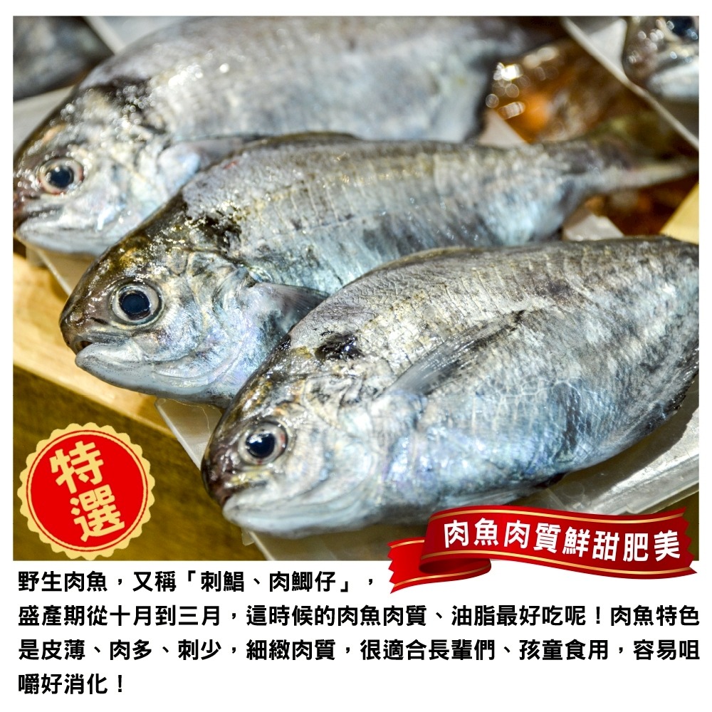 嚴選野生肉魚(每包4-6尾/約480g±10%)【海陸管家】肉鯽仔-細節圖2