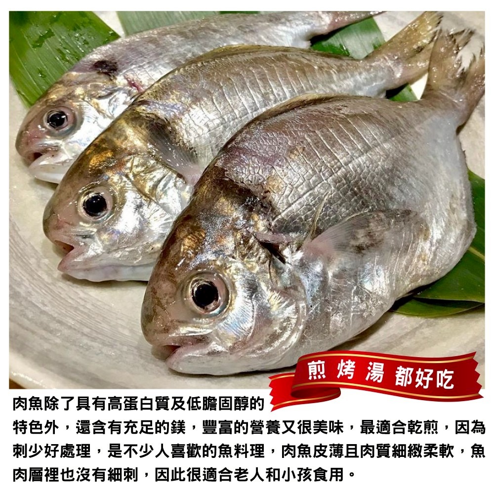 嚴選野生肉魚(每包4-6尾/約480g±10%)【海陸管家】肉鯽仔-細節圖4