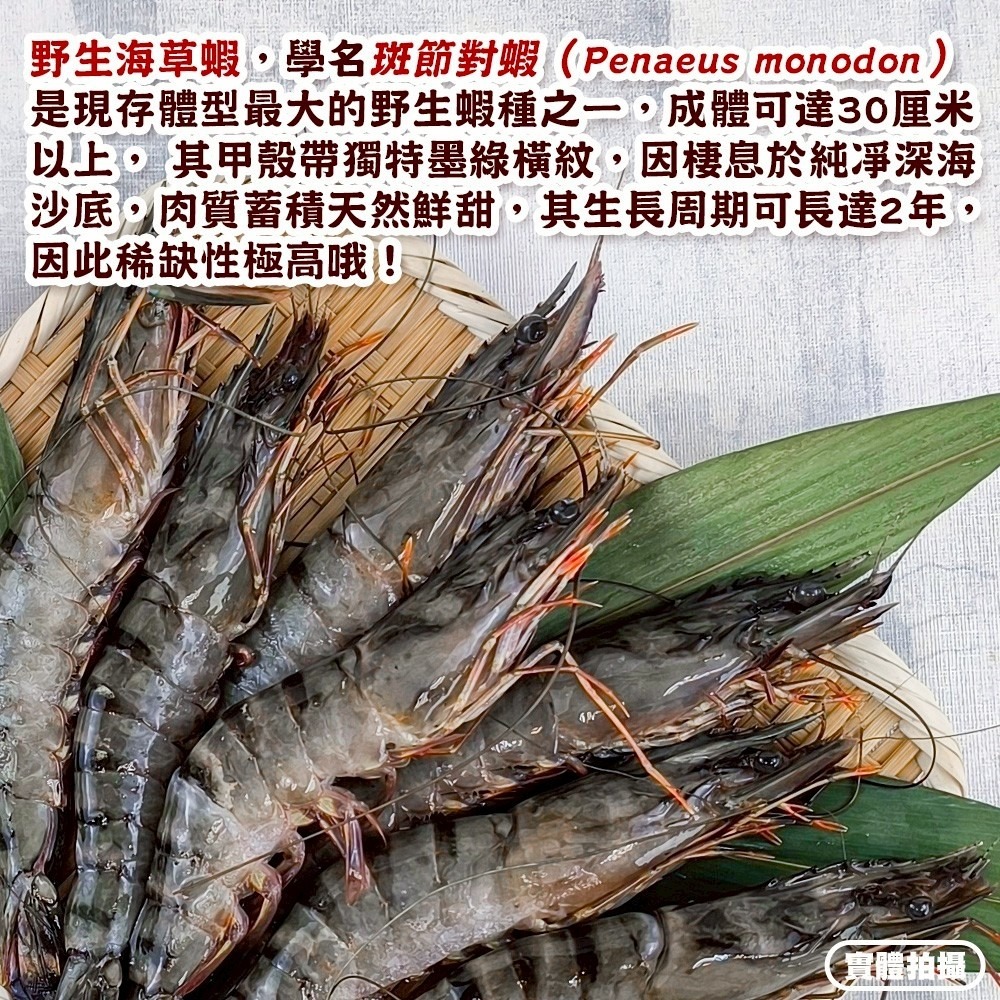 巨無霸野生海草蝦(每盒6-7尾/淨重500g)【海陸管家】滿額免運 草蝦 虎蝦 大草蝦-細節圖3